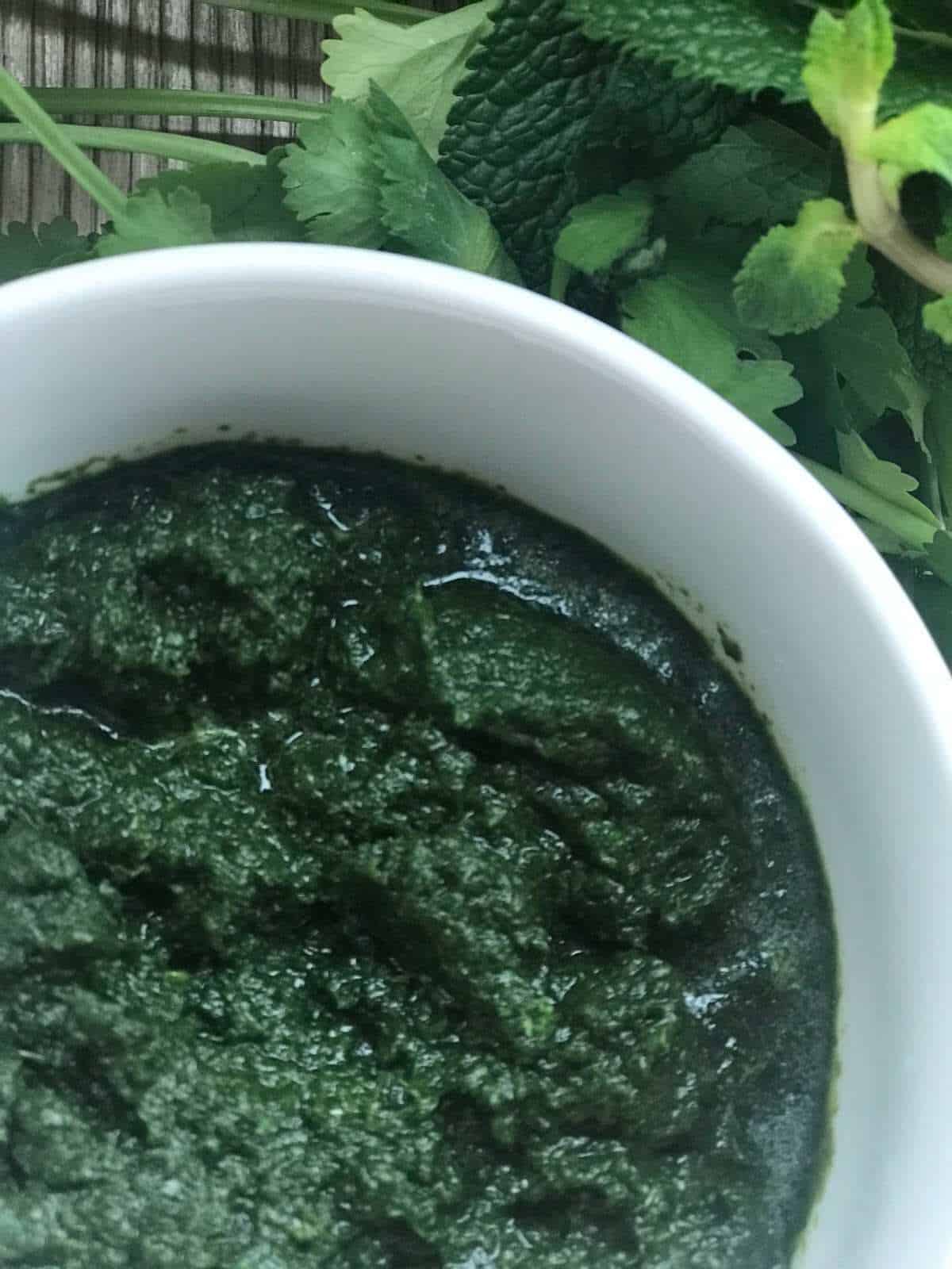 Mint cilantro chutney served in a white bowl with fresh mint and cilantro on the side.
