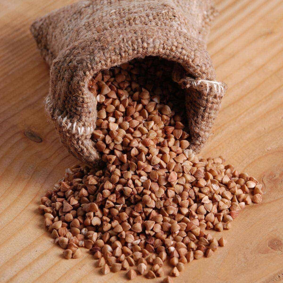 Is buck wheat gluten free? Buckwheat groats spilling out of a gunny sack.
