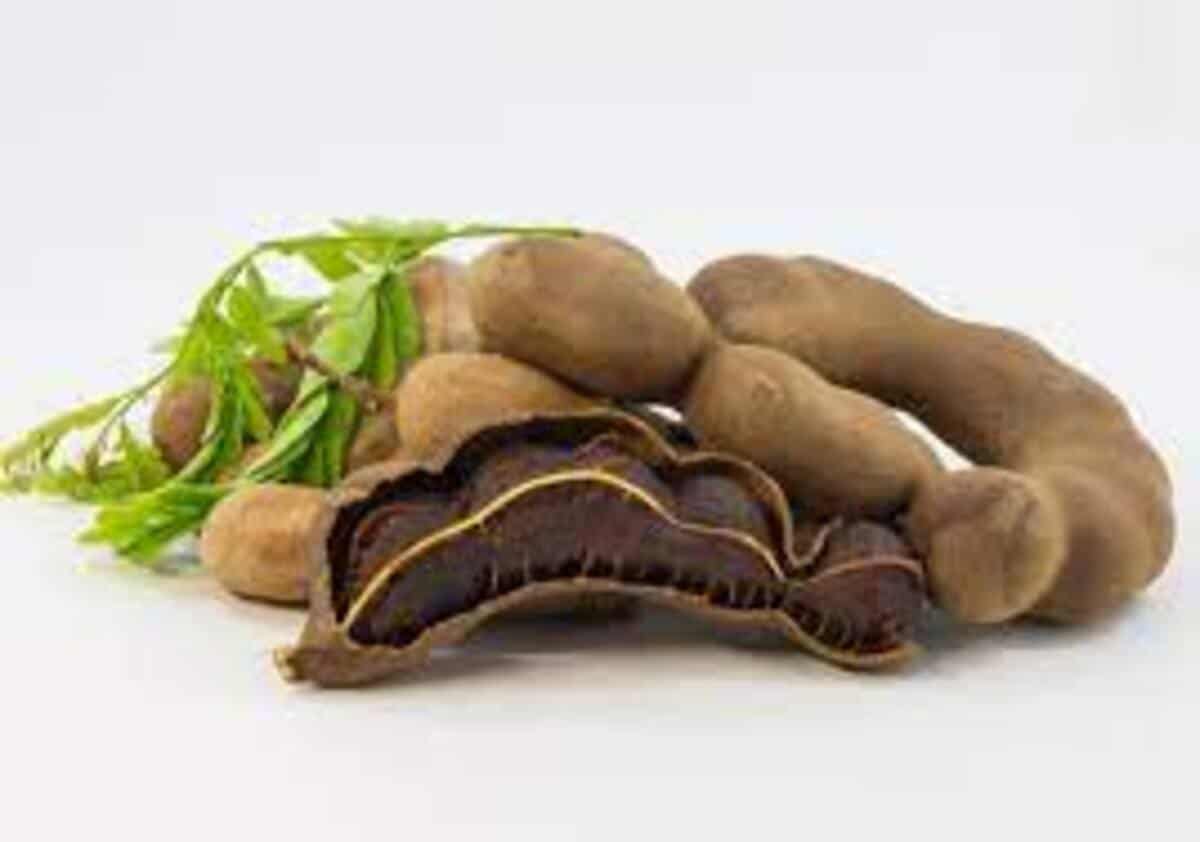 Tamarind pods placed in a pile with one of them peeled to reveal the flesh inside.