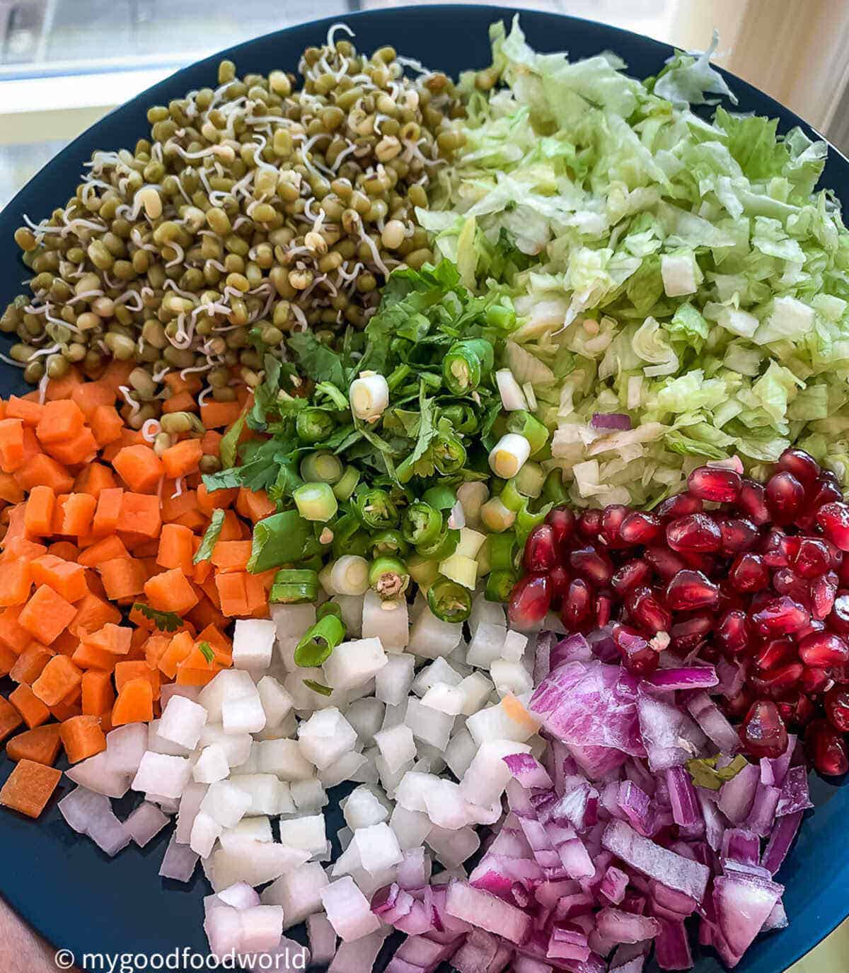 Dice daikon radish, carrots, red onions, lettuce, scallions, and green chilies along with sprouted mung beans and pomegranate arils arranged on a blue plate.