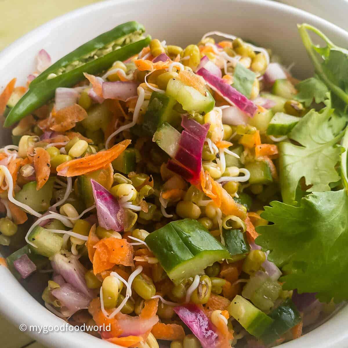 Sprouted green gram salad with onions, herbs, and fresh vegetables in a round white bowl.