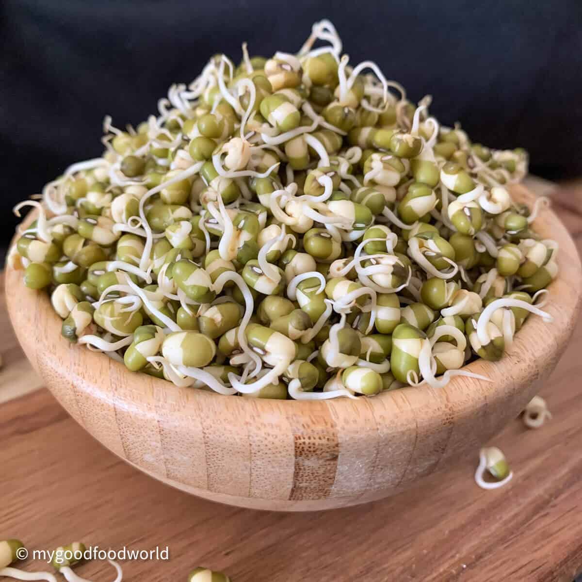 Fresh home grown mung bean sprouts placed in a wooden bowl which is placed on a wooden board. 