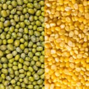 Side-by-side comparison of mung beans vs lentils for easy digestion.